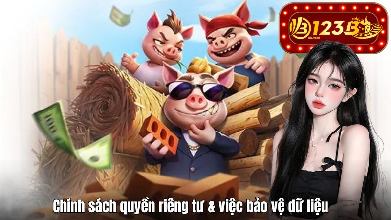123B Chính sách quyền riêng tư & việc bảo vệ dữ liệu